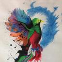 Quetzal's avatar