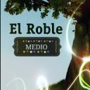 🌳🍃🔶-=Roble Medio ©=-🔷🍃🌳's avatar