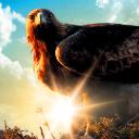 GOD'S EAGLE's avatar