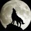 Nightwolf's avatar