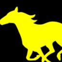 Horse's avatar