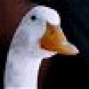 The Love Duck's avatar