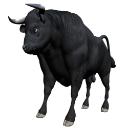 The Black Bull's avatar