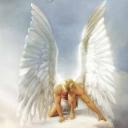 White Angel's avatar