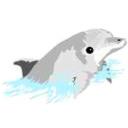 Delfin's avatar