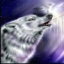 ♫♪ Wolf ODD ♫♪'s avatar