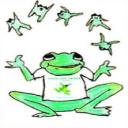 Juggling Frogs's avatar