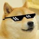 Doge's avatar