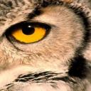 Owl Eye's avatar