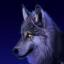Night Wolfe's avatar