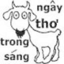 Ngây Thơ - Trong Sáng's avatar