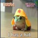 I has a hat's avatar