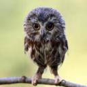 §Owls§'s avatar