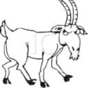 oldgoat's avatar