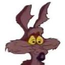 Wile E.'s avatar