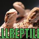 LLLReptile and Supply Co, Inc's avatar