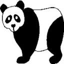 panda's avatar