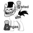 Salted Pingas's avatar