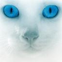 Fubian's avatar