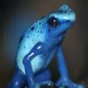 Dr. Blue Frog, PhD's avatar