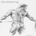 goldwing's avatar