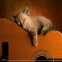 Sleeping kitty's avatar