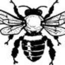 Buzzy's avatar