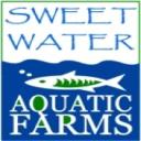 sweetwaterfish's avatar