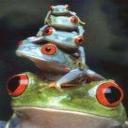 Frog Five's avatar