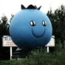 Blueberry Man's avatar