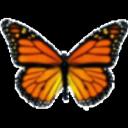 Butterfly's avatar