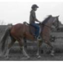 Gaited Girl's avatar