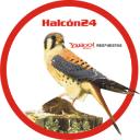 Halcon24's avatar