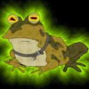 Splash Frog's avatar