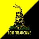 Radical for freedom's avatar