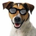 Doggo !'s avatar