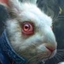 The White Rabbit's avatar