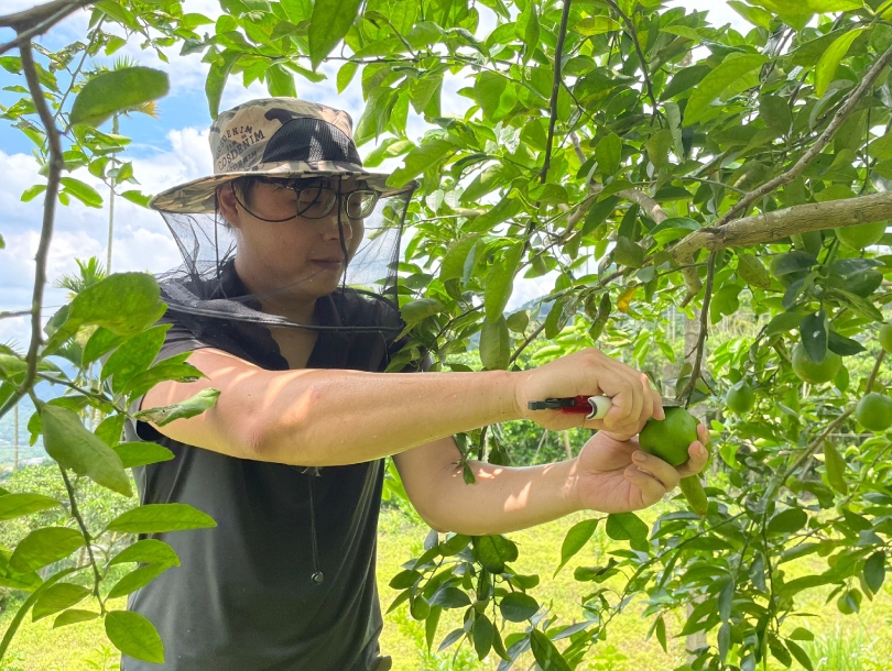 因爲檸檬，我們照顧了一座山