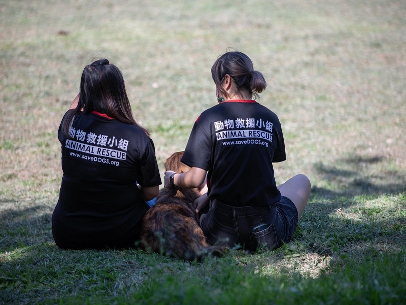 台灣動物緊急救援小組透過podcast頻道和大家分享動物救援的真實故事。
