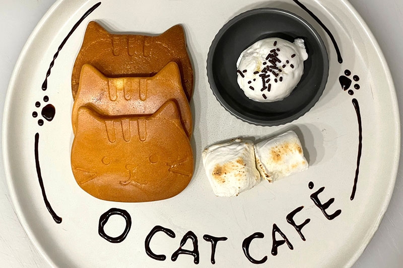 由O CAT CAFÉ提供