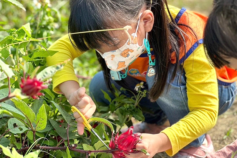 由方圓幼兒園提供