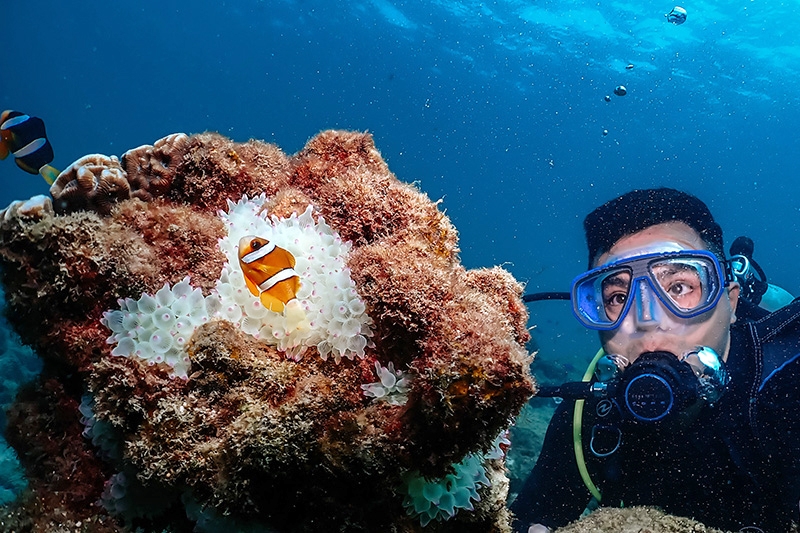 與水中生物合影，圖片由日日潛水提供