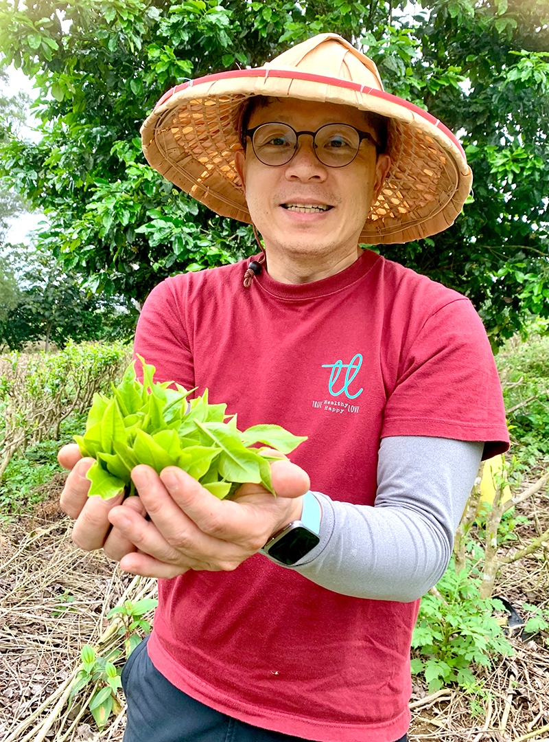 圖片由真心康普茶提供