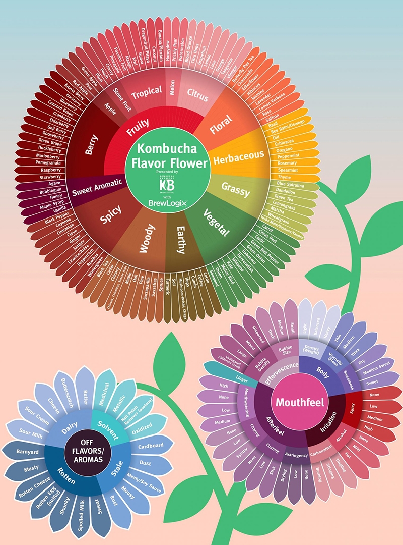 圖片來源：國際康普茶釀造者協會(KBI, Kombucha Brewer International)