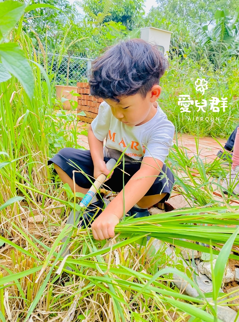 圖片由桃園市私立愛兒群愛森幼兒園提供