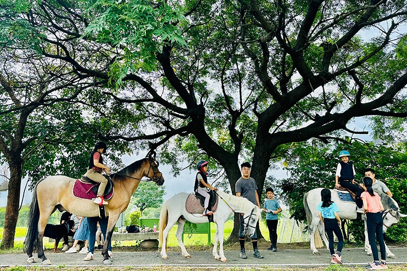 圖片由尼普頓馬術創藝園區提供