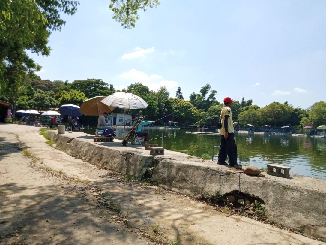 鄉城休閒魚池 桃園市 生活服務 釣魚釣蝦場