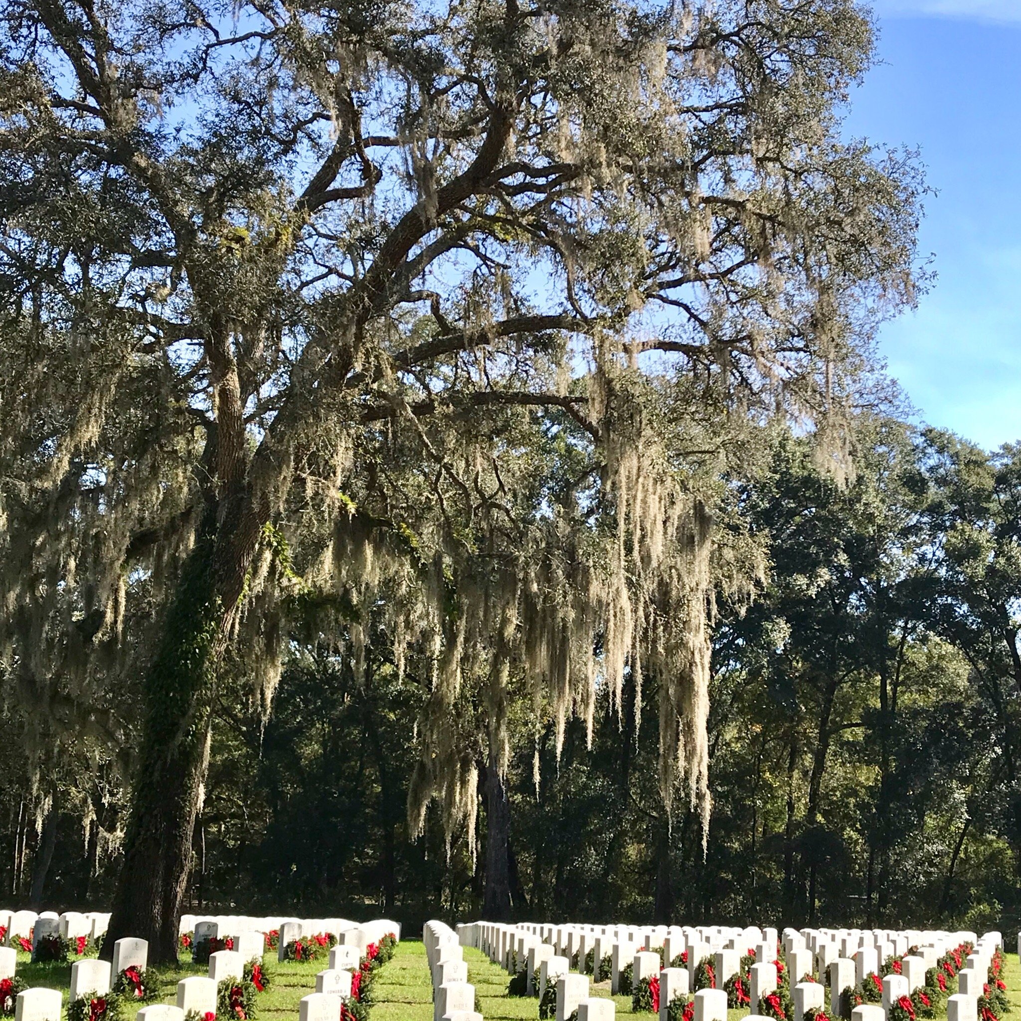 Florida National Cemetery In Bushnell Florida National Cemetery 6502   15f14ea2b1cc77a38a613fb2080e0d87 