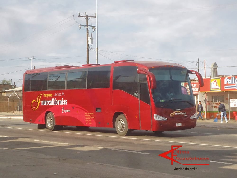 INTERNATIONAL BUS LINES in Los Angeles | INTERNATIONAL BUS LINES 655 ...