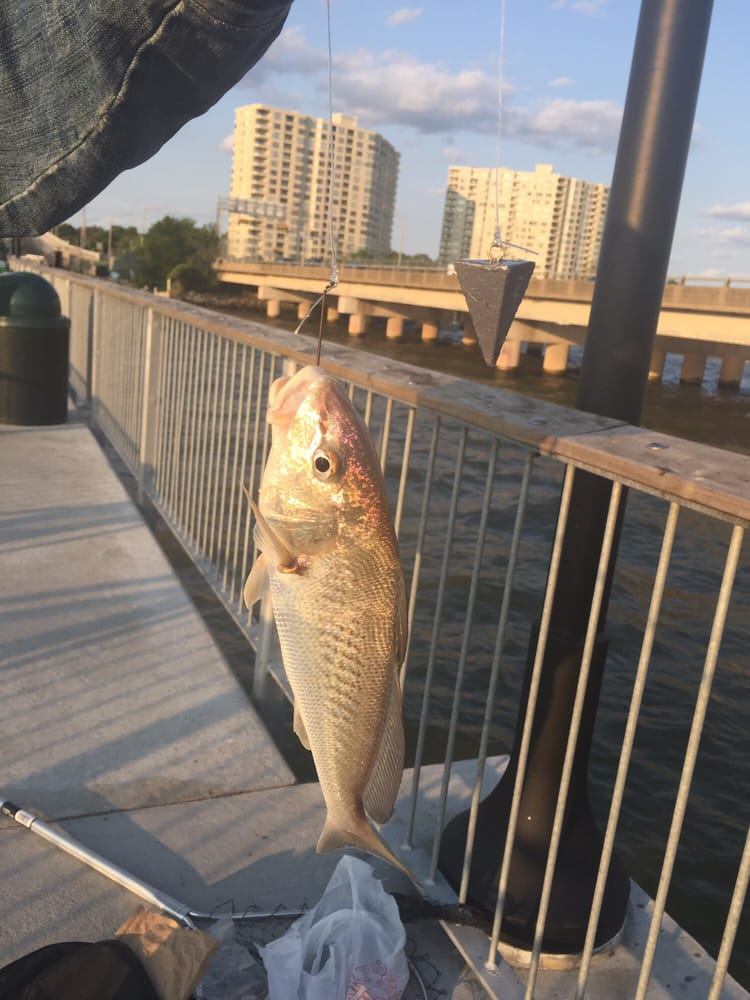 James River Bridge Fishing Pier in Newport News | James River Bridge Fishing Pier 618 72nd St